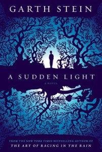 sudden-light-9781439187036_lg