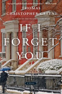if-i-forget-you